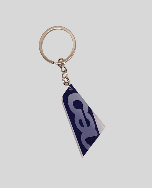 Airbus Neo Aircraft Tail Keychain